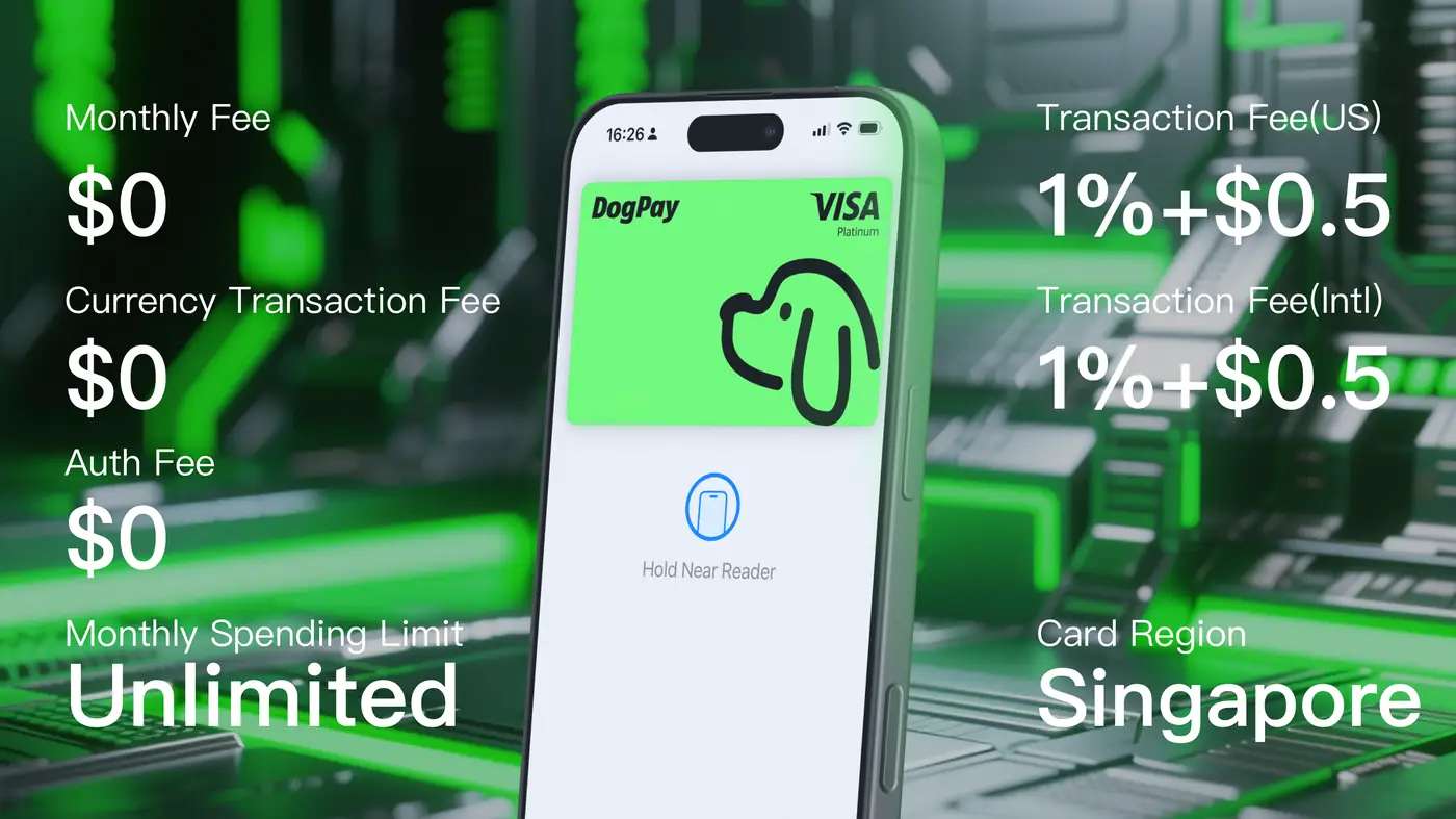 Simplify Global Business Payments with Virtual Accounts and Multi-Currency Management