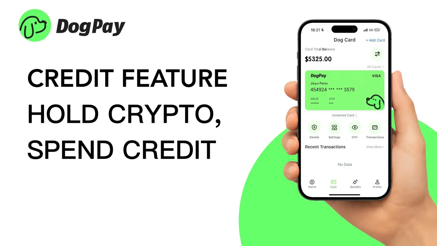 Discover Virtual Credit Cards: A Practical Guide for Safer Online B2B Payments
