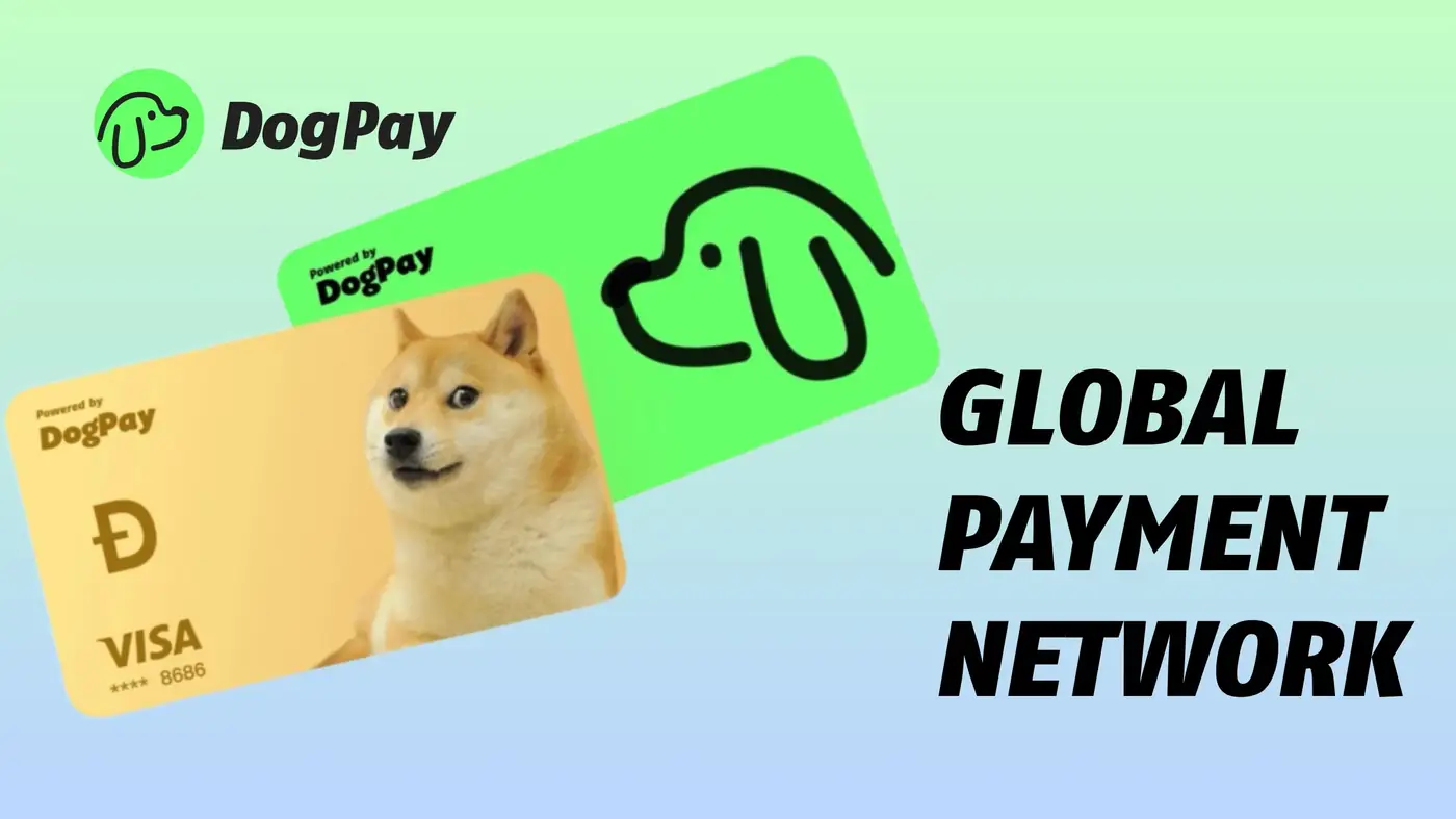 How Businesses Can Manage Multiple Cards and Expenses with DogPay Virtual Cards