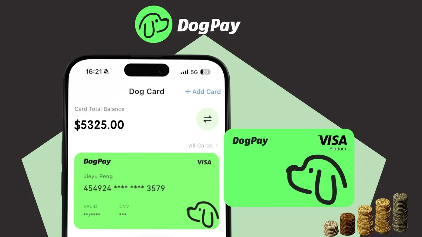 How to Master Cross-Border Payments in WooCommerce Dropshipping